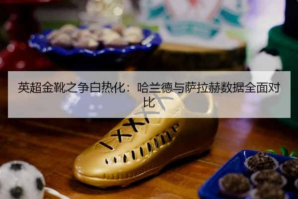 ying-chao-jin-xue-zhi-zheng-bai-re-hua-ha-lan-de-yu-sa-la-he-shu-ju-quan-mian-dui-bi-2-536.jpg