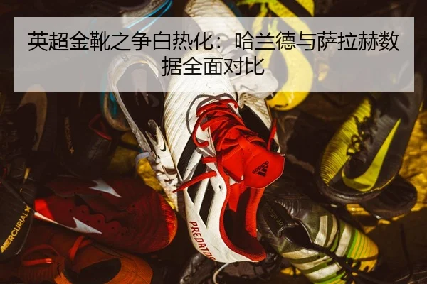 ying-chao-jin-xue-zhi-zheng-bai-re-hua-ha-lan-de-yu-sa-la-he-shu-ju-quan-mian-dui-bi-3-270.jpg