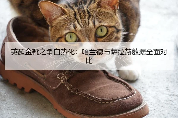 英超金靴之争白热化：哈兰德与萨拉赫数据全面对比