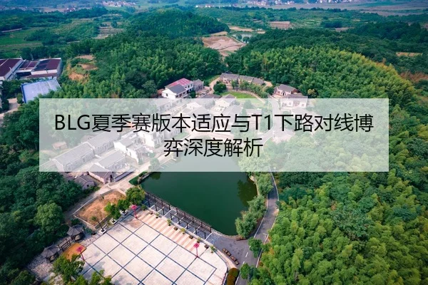 BLG夏季赛版本适应与T1下路对线博弈深度解析