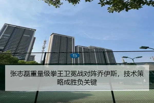 张志磊重量级拳王卫冕战对阵乔伊斯，技术策略成胜负关键