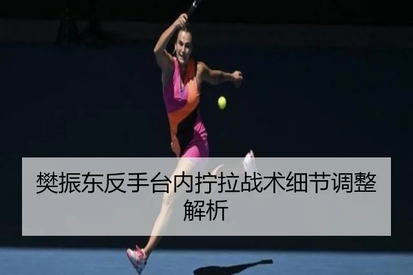 樊振东反手台内拧拉战术细节调整解析