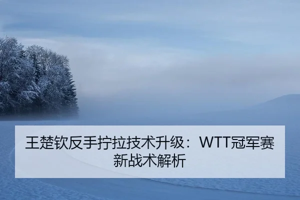 王楚钦反手拧拉技术升级：WTT冠军赛新战术解析