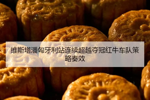 维斯塔潘匈牙利站连续超越夺冠红牛车队策略奏效